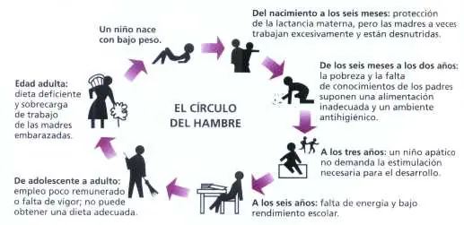 nunca