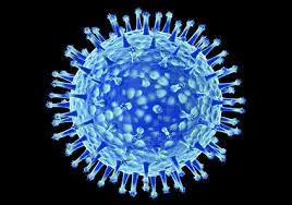virus