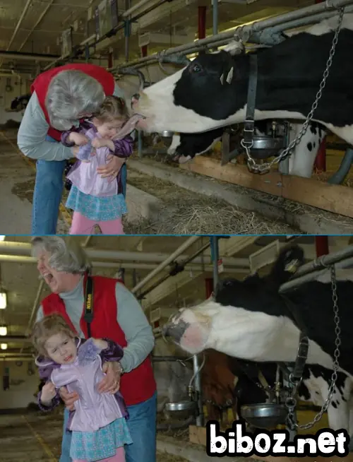 ¿Te querías reir? [1 Parte]