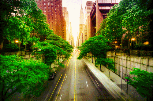 crea gif