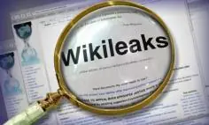 El arca de Noé bajo la lupa de Wikileaks
