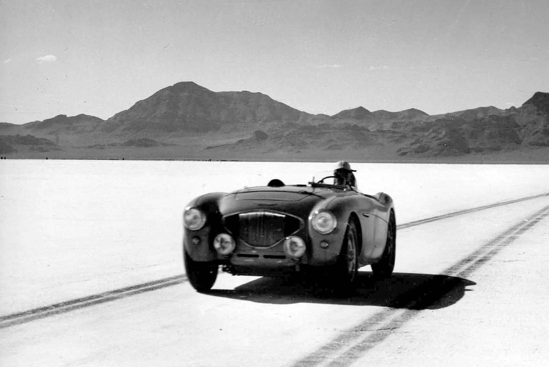 shelby