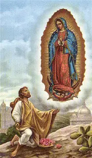 patrona