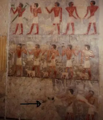 arqueologia