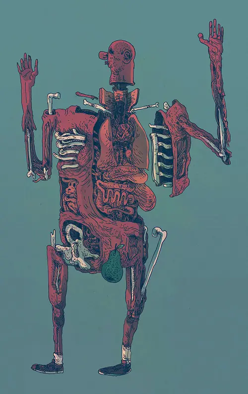 ilustracion