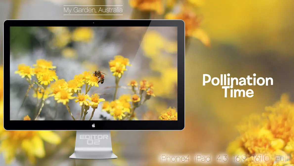 Wallpapers Medio Minimalistas