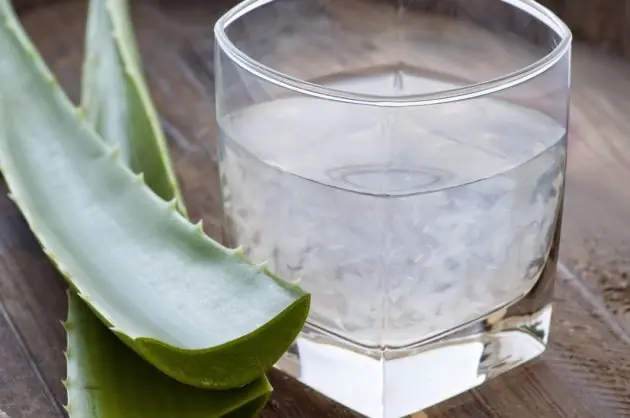 10 beneficios de tomar Aloe Vera