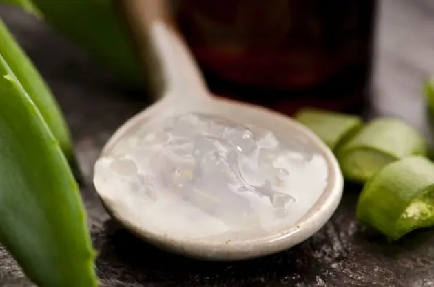 10 beneficios de tomar Aloe Vera