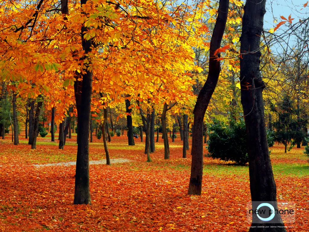 Comenzó el Otoño