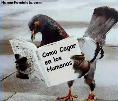 imagenes chistosas, comicas etc..