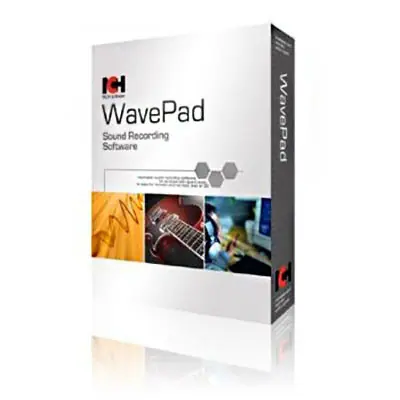 inteligencia colectiva