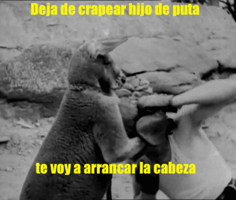 coche