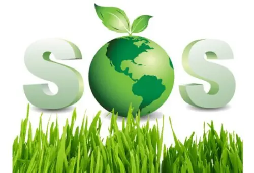 La onda verde,relato para reflexionar