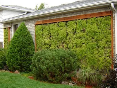 jardin vertical