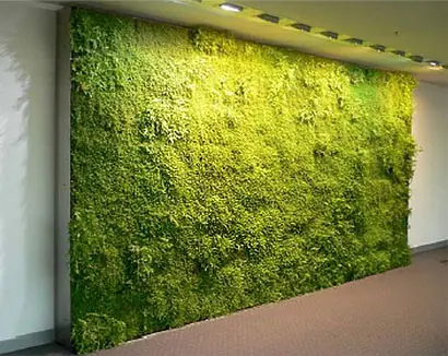 construir jardin vertical