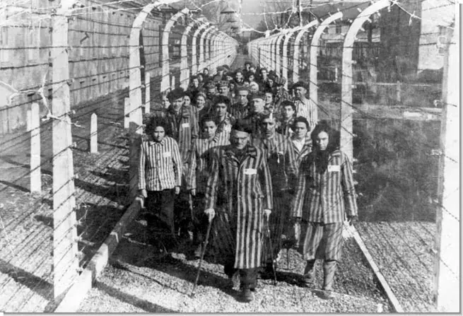 refugiados
