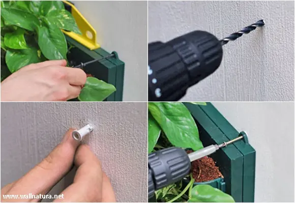 hacer jardin vertical