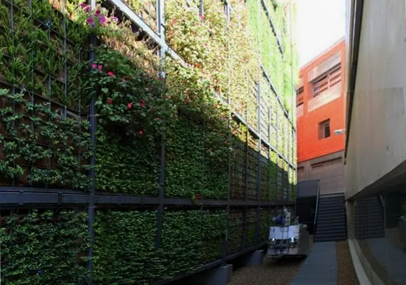 hacer jardin vertical