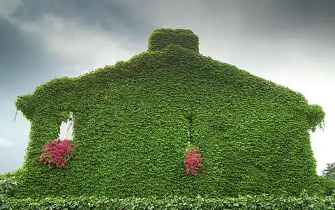 hacer jardin vertical