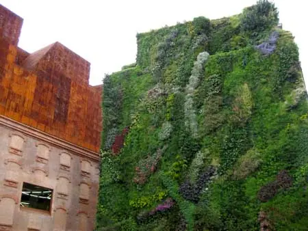 jardin vertical