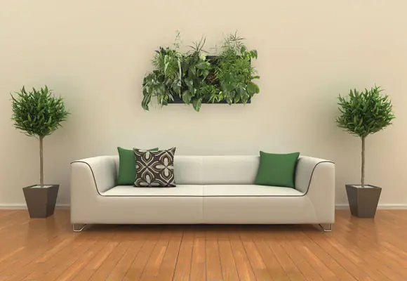 jardin