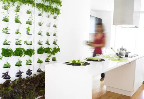 jardin vertical