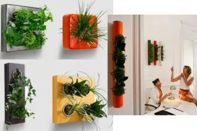 jardin