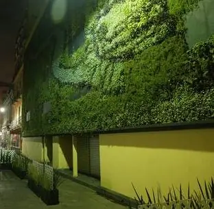 jardin