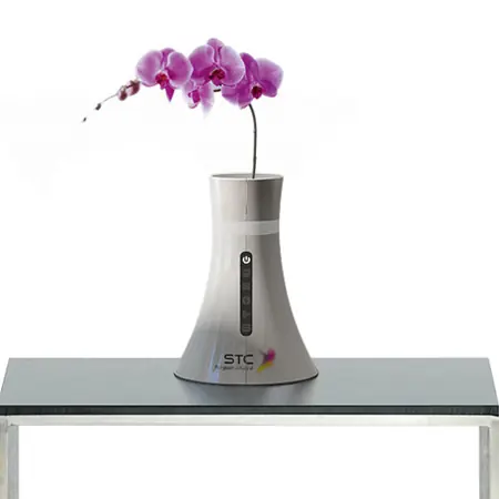 Internet, Hasta para las Flores