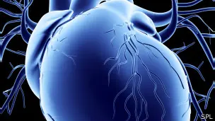 El corazón que se rejuveneció contra todo pronóstico