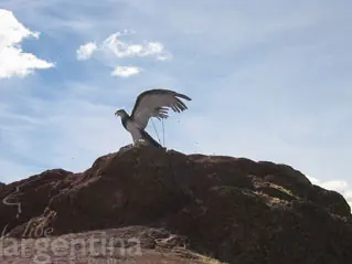 Piedra del Aguila