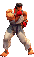 fighter