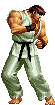 ryu