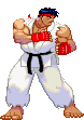 fighter