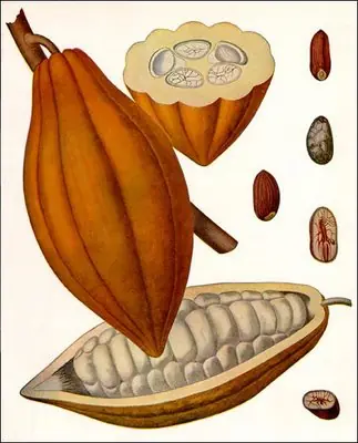 la historia del chocolate