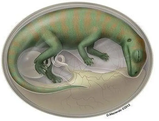 Los embriones de dinosaurio más antiguos jamás encontrados