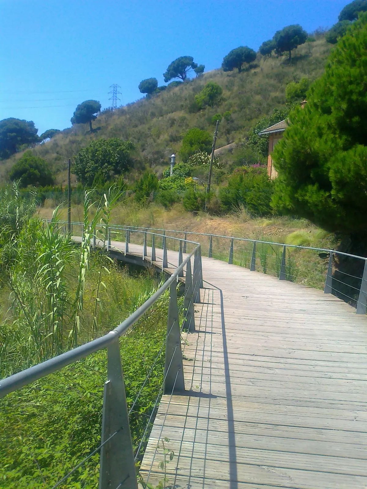 montaña