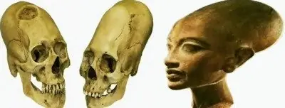 humanoides