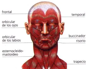 15 curiosidades sobre los besos