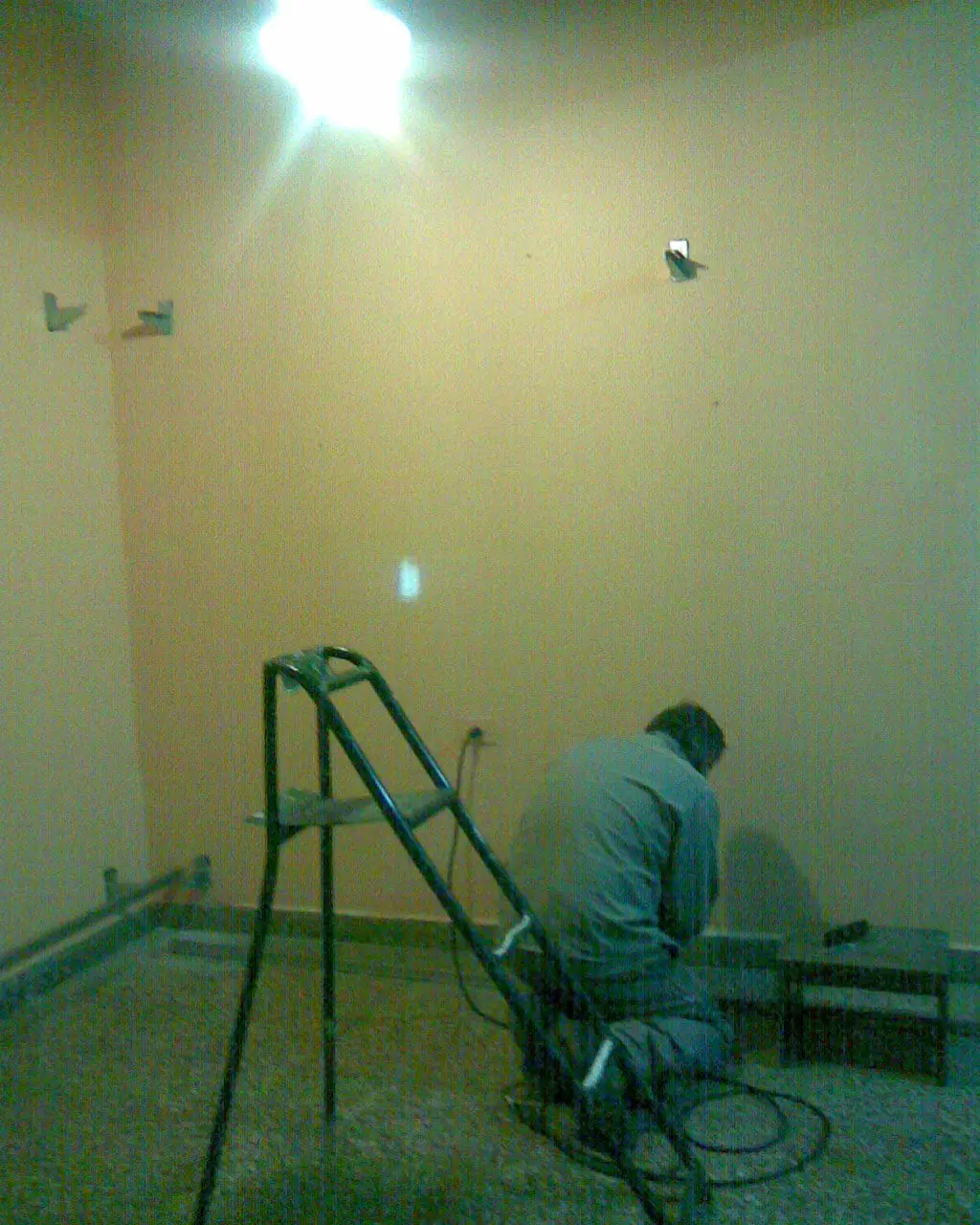 Ensayo