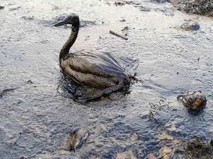 derrame de petrolio en el golfo de mexico el peor desastre.