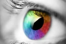 ¿Qué color nos llega más? (MKT)