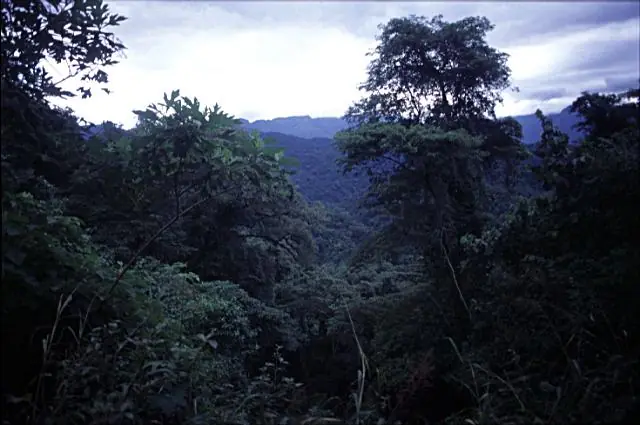 maravillas