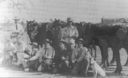 pistolas