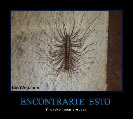 imagenes