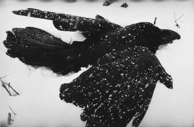 Las tres muertes de Masahisa Fukase, fotógrafo de cuervos