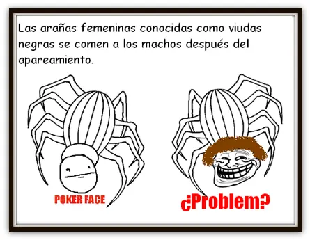 Otro post de memes