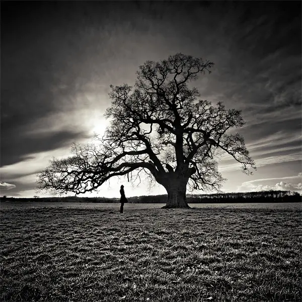 Arte en blanco y negro