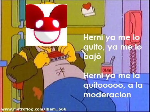 noche de taringa