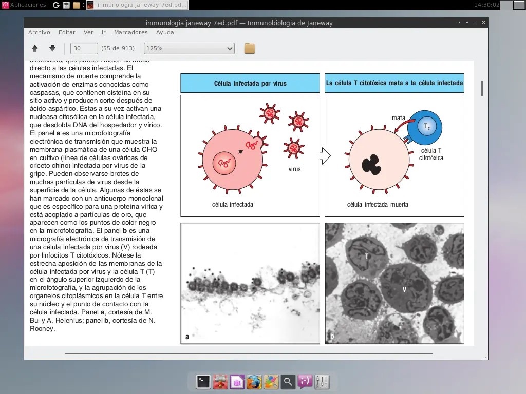 debian